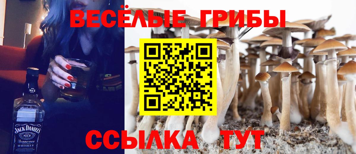 Галлюциногенные грибы MAGIC MUSHROOMS Южноуральск